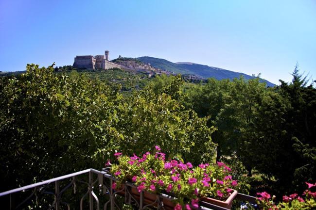 Country House Carfagna أسيسي المظهر الخارجي الصورة