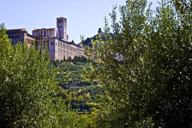 Country House Carfagna أسيسي المظهر الخارجي الصورة